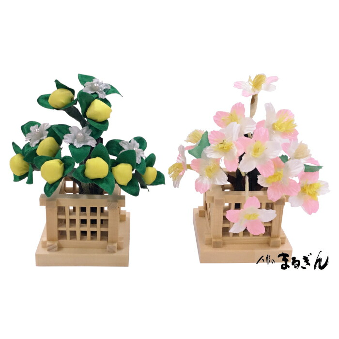 楽天市場】雛人形 桜橘 単品の通販