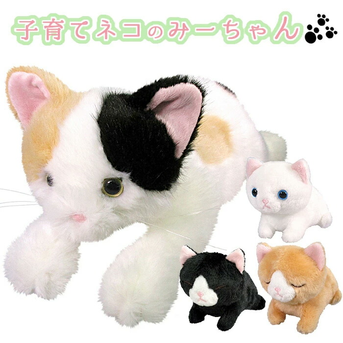 楽天市場】【2/25限定2人に1人最大100%P】子育てネコのみーちゃん