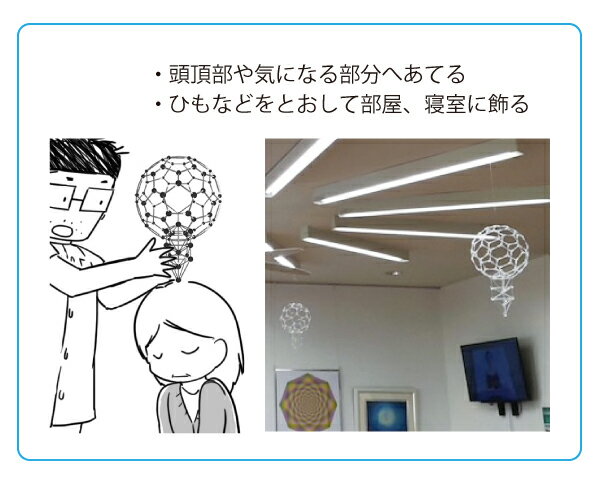 楽天市場】【2/25限定2人に1人最大100%P】模型 3Dカバラ パドマ 生命の