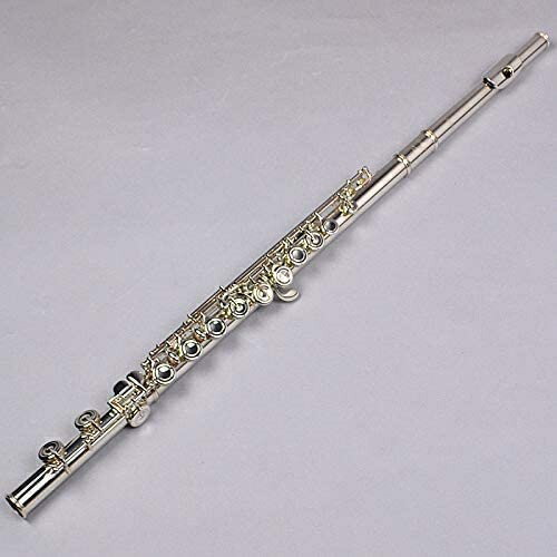 楽天市場】Altus アルタス フルート A907E 頭部管銀製モデル : 伊藤