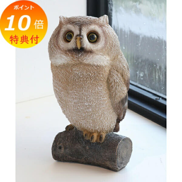 楽天市場】【特典付き】 ブレイク・ブランチオウル アンティーク調