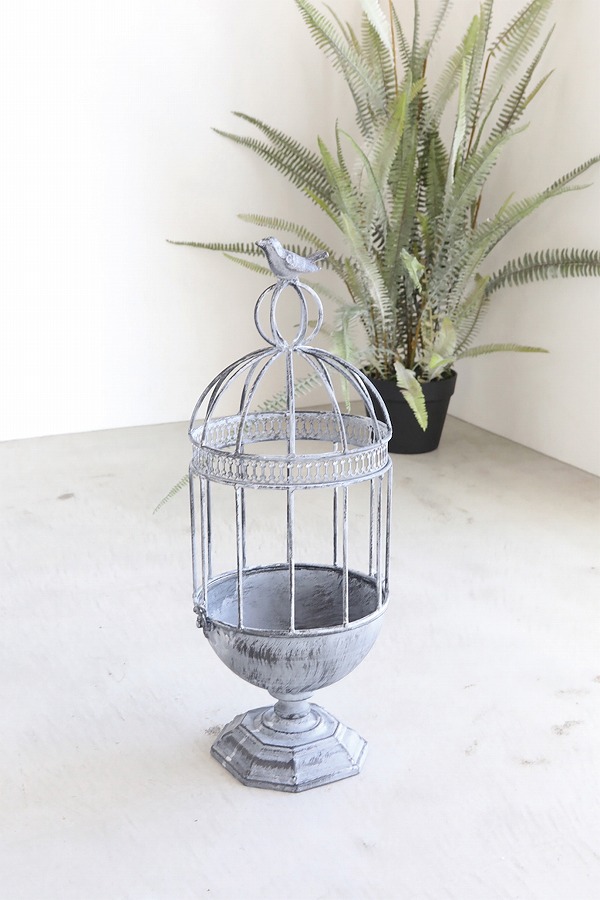 楽天市場】【特典付き 】 ポルヴィ・プランツケージ コベントガーデン