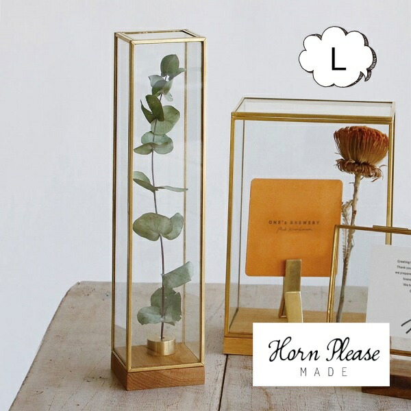 楽天市場】ブラスフレーム ガラスケース ディスプレイボックス トール