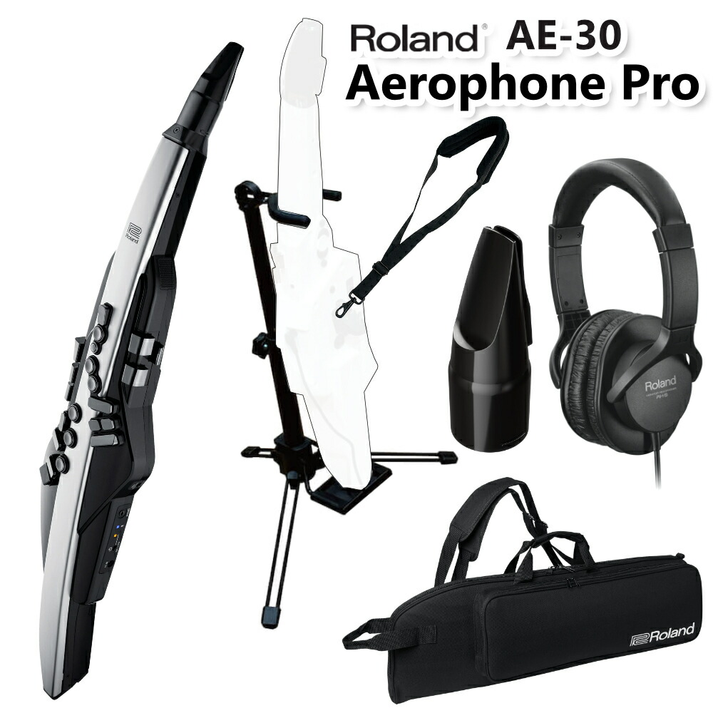 楽天市場】Roland Aerophone Pro /AE-30 エアロフォン プロ デジタル