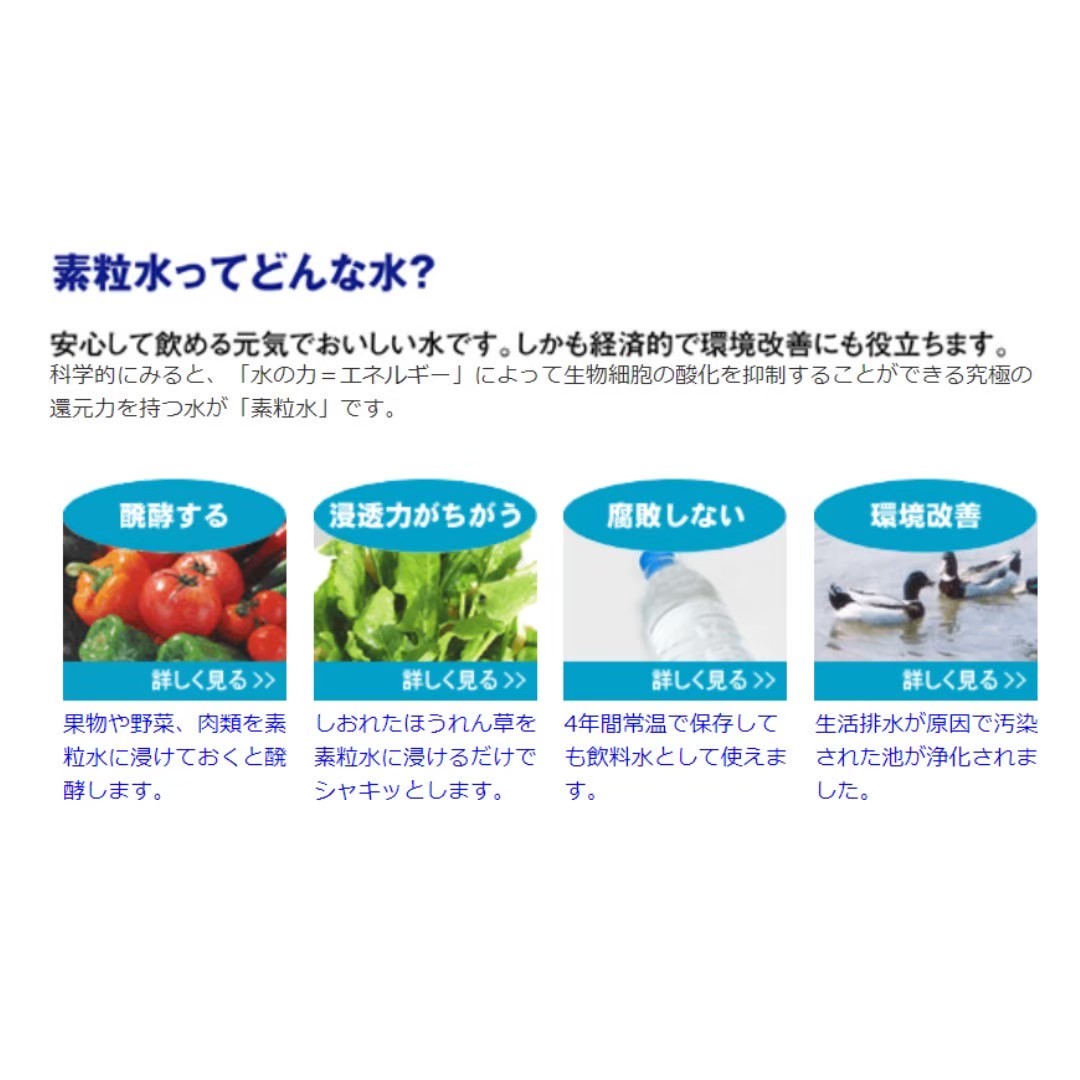 楽天市場】【期間限定ポイント10倍☆】2つのプレゼントと活用法資料