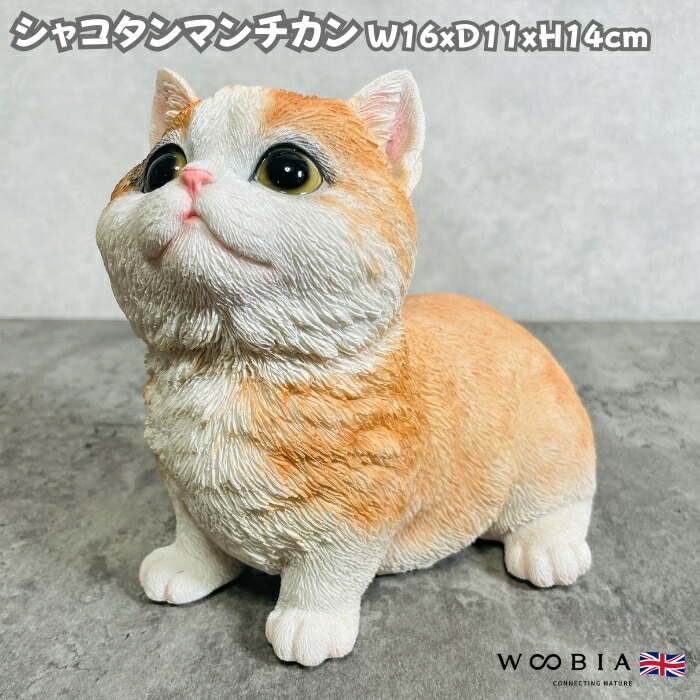 楽天市場】猫 置物 リアル 小さい かわいい お座り マンチカン woobia
