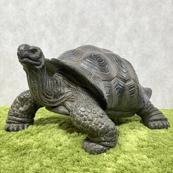 楽天市場】置物 首を伸ばすカメ 大 亀 高さ26.5cm woobia ウービア