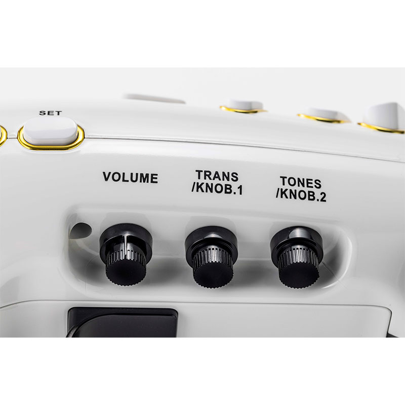 楽天市場】TAHORNG Elesa10 ホワイト 電子サックス【専用バッグなし