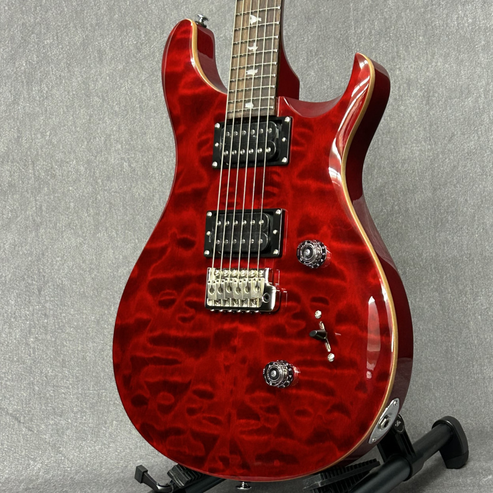 prs se custom24」の人気商品一覧 | 安い商品を通販サイトから探す