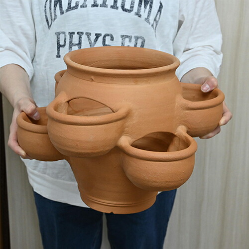 楽天市場】テラコッタのかわいいストロベリーポット 大素焼き 鉢苺育て