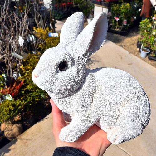 楽天市場】しろうさ 白いうさぎ ラビットうさぎの置物 置物 ミルク