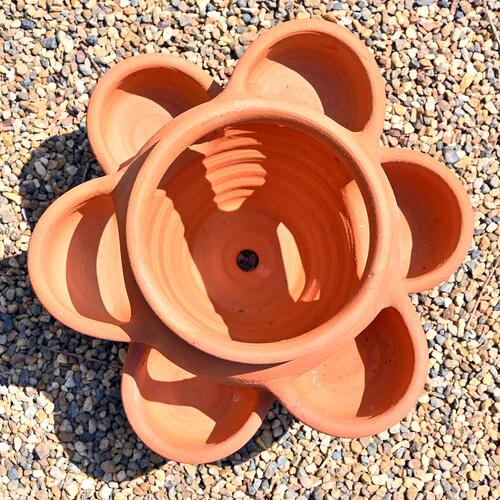 楽天市場】ストロベリーポット 大テラコッタ 素焼き 鉢苺 ストロベリー