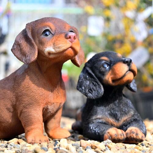 楽天市場】ミニチュアダックスフント 2種アソート2つセット 置物