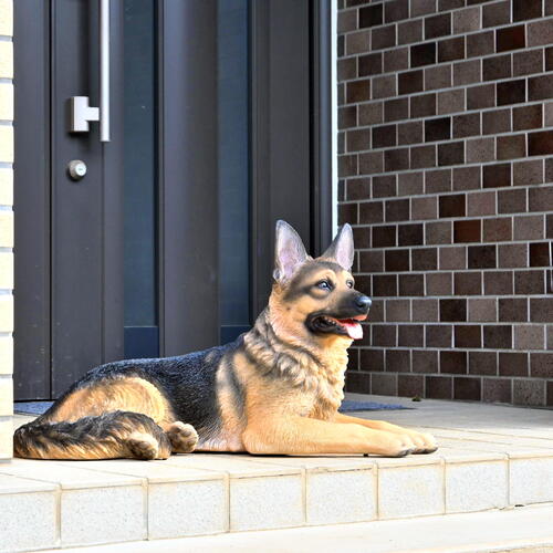 楽天市場】2026年のかっこい番犬ジャーマンシェパード いぬ 犬の置物