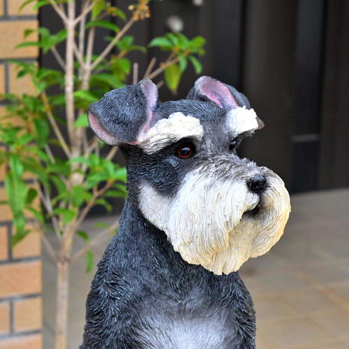 楽天市場】犬の置物 シュナウザー ダンディードッグ ワンちゃん いぬ