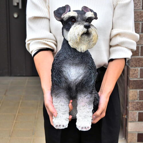 楽天市場】2025年11月～12月より発送シュナウザー親子セット シュシュ