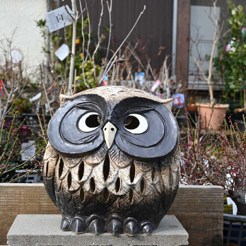 楽天市場】現品でのお届け信楽焼 ふくろう灯篭 ランタン フクロウ 梟