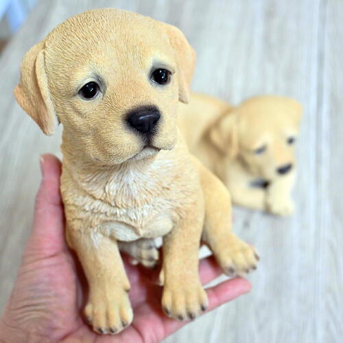 楽天市場】WOOBIA ラブラドールレトリバー うつぶせ お座り(小)2つ