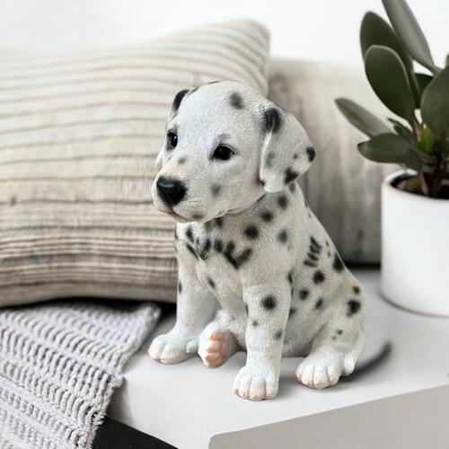 楽天市場】ダルメシアン(小) お座り 黒ぶちわんこ 犬 いぬ チョコ