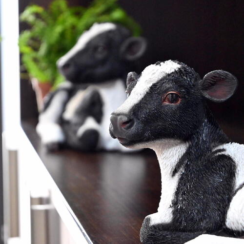 楽天市場】牛セット 子牛 小物 2つセット置物 リアルな置物 牛の置物お