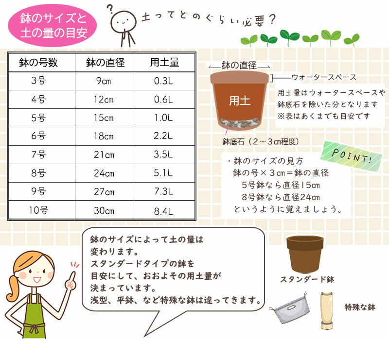 楽天市場】うさぎ ホワイト 2つセット小さい置物 可愛いうさぎ