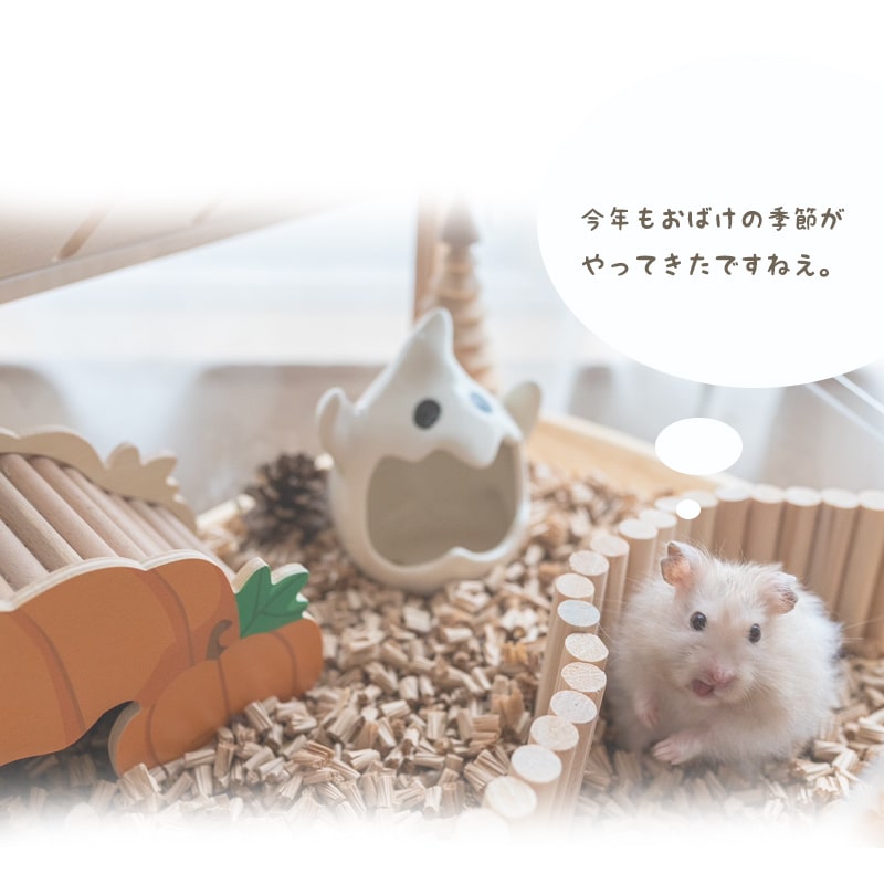 楽天市場】【すぐ届く】 ハムスター 陶器 ひんやり ハウス おばけ