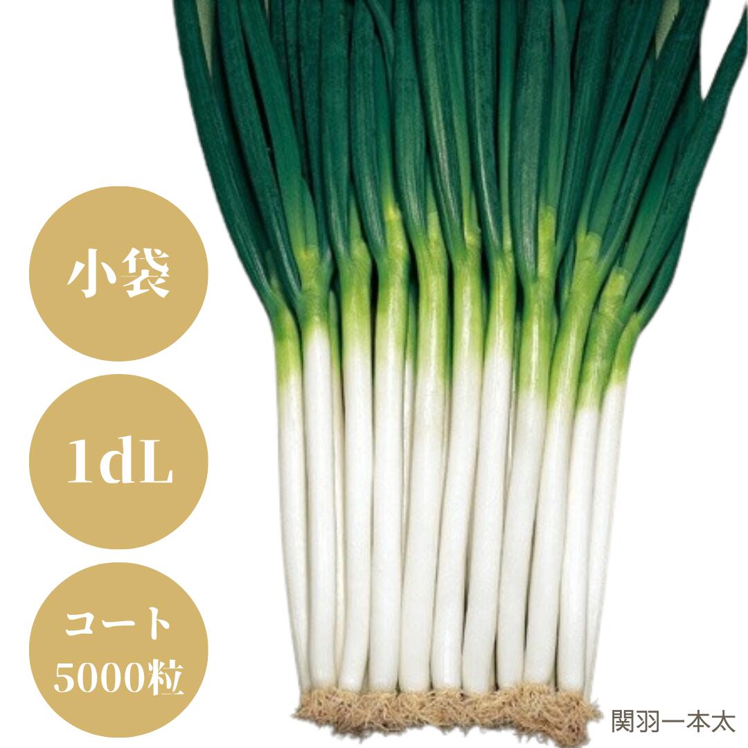 楽天市場】〈小袋・1dL・コート5000粒〉ネギ種【 F1関羽一本太