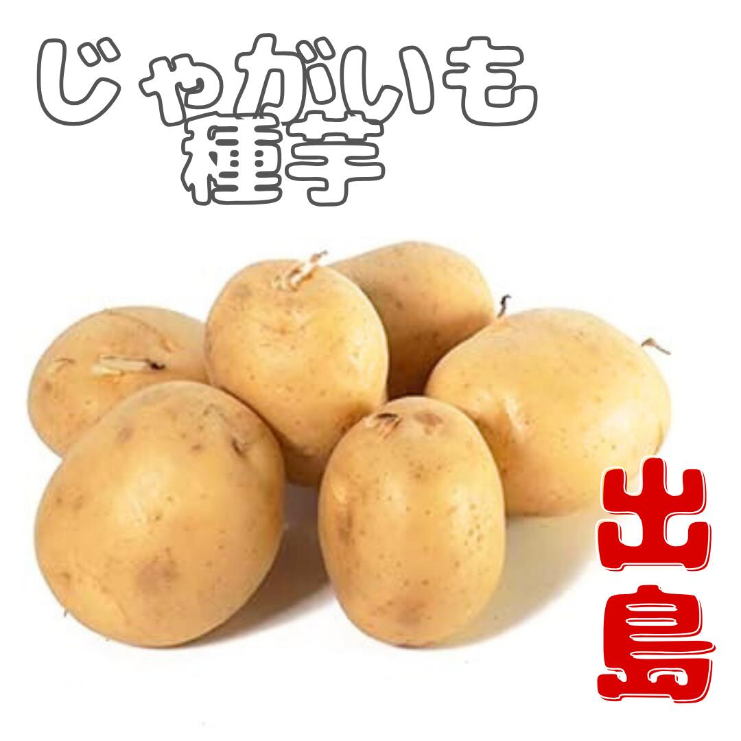 楽天市場】じゃがいも 種芋 【 出島(デジマ) 】 種芋 秋植え 兼用