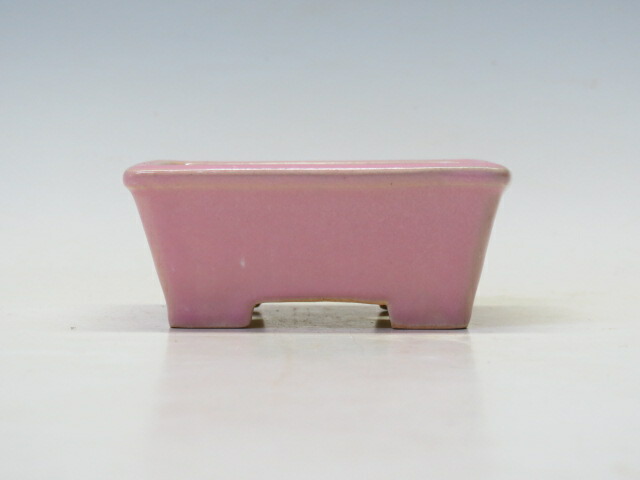 楽天市場】盆栽鉢 柴勝 長方鉢 【作家鉢 常滑焼 日本鉢 盆栽小鉢