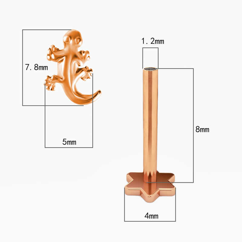 楽天市場】[ 16G 内ネジ 星型フラット ボディピアス ] リザード内ネジ