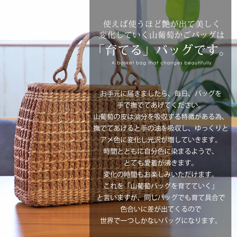 楽天市場】＼半額／【50％OFF】【さらに最大300円クーポン有】 山葡萄