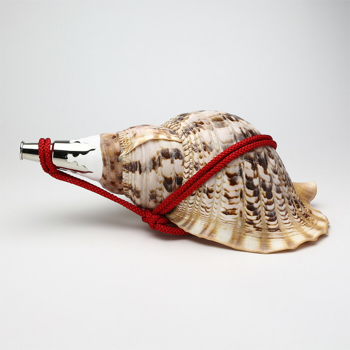 楽天市場】【 伊勢 宮忠 】【 No.10 法螺貝（ほら貝） 大型 】全長41.2