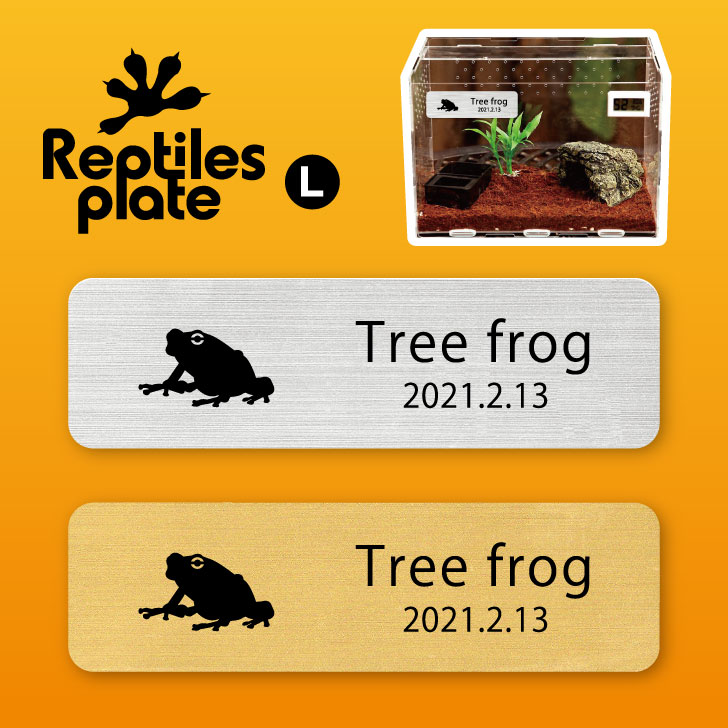 楽天市場】レプタイルズ プレート L 【 アマガエル 】ケージ 水槽