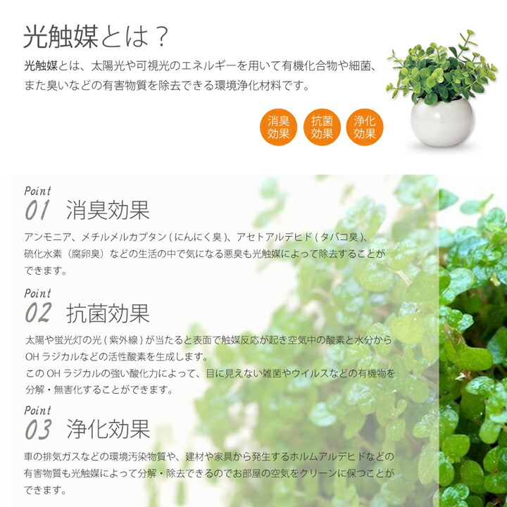 楽天市場】インテリアグリーンKU 光触媒・半永久的に消臭効果♪水の