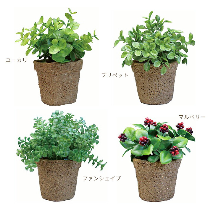 楽天市場】光触媒 ミニグリーン （フェイクグリーン）・ミニサイズの