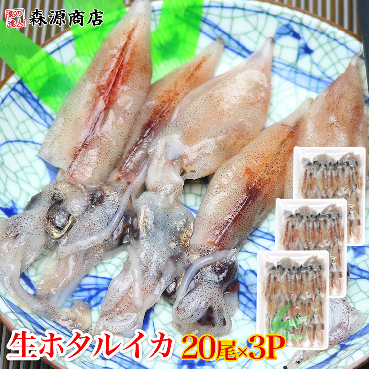 楽天市場】ホタルイカ 生 刺身 生食 20尾入り 3パックセット ほたる