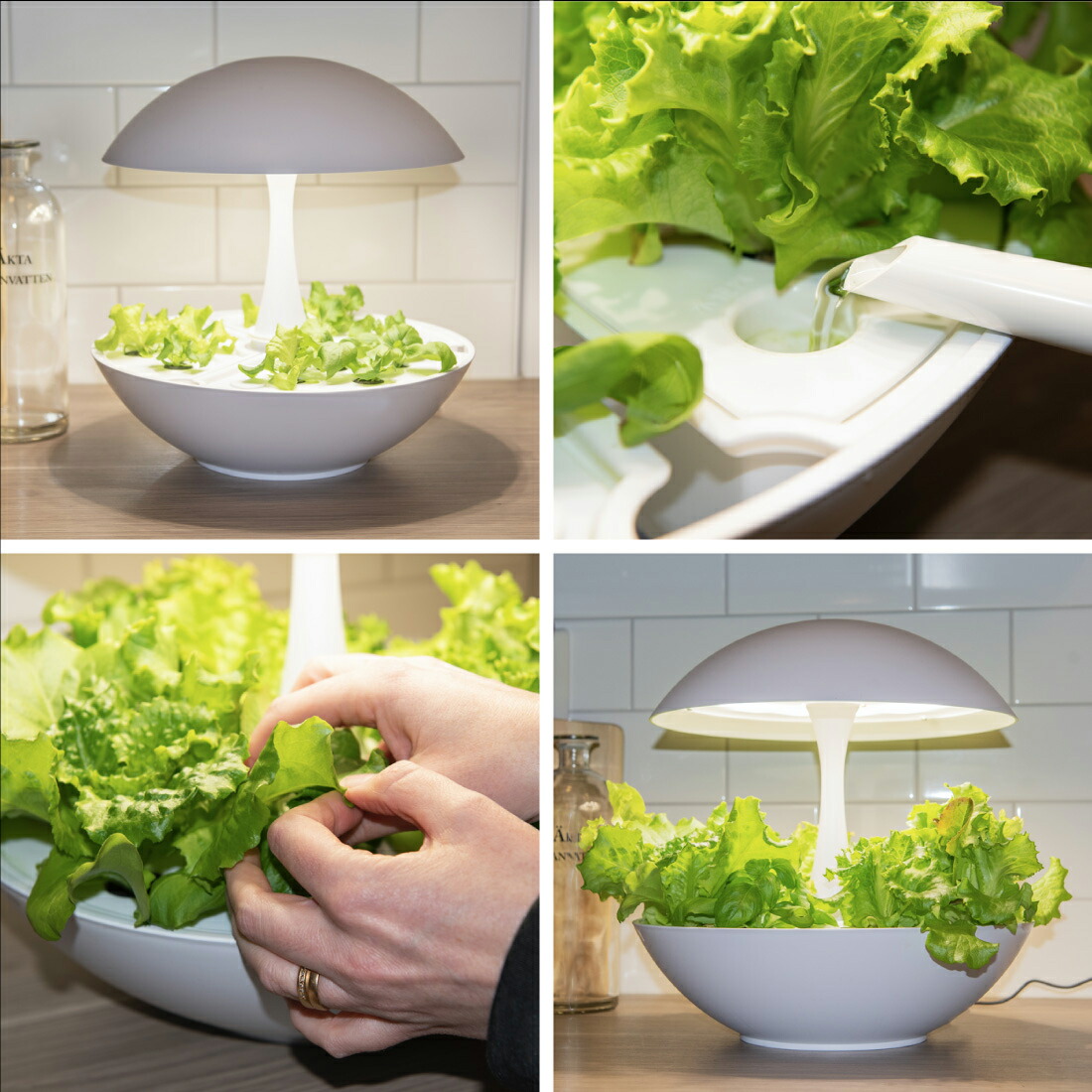 楽天市場】[MotoM公式]水耕栽培キット おしゃれ 水耕栽培用 キット 灯