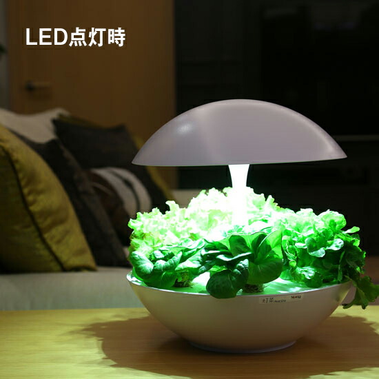 楽天市場】[MotoM公式]水耕栽培キット おしゃれ 水耕栽培用 キット 灯