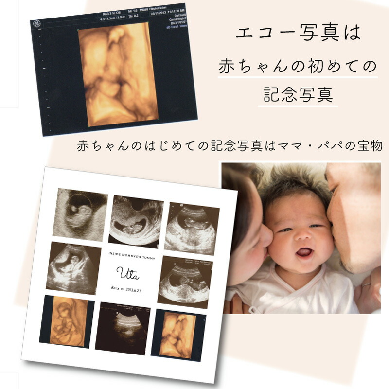 楽天市場】エコー フレーム セット 命名書マタニティー アルバム