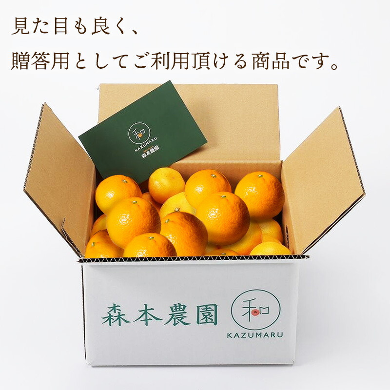 楽天市場】【2026年2月中旬〜5/15お届け】和歌山 直送 森本農園の 清見