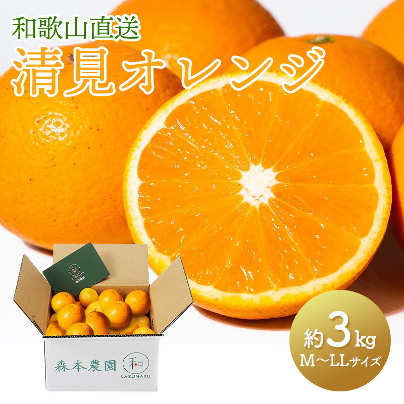 楽天市場】【2026年2月中旬〜5/15お届け】和歌山 直送 森本農園の 清見