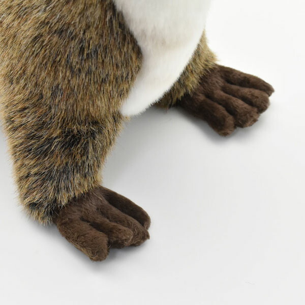 楽天市場】ハンサ【HANSA】リアルぬいぐるみ カワウソ 69cmその表情と