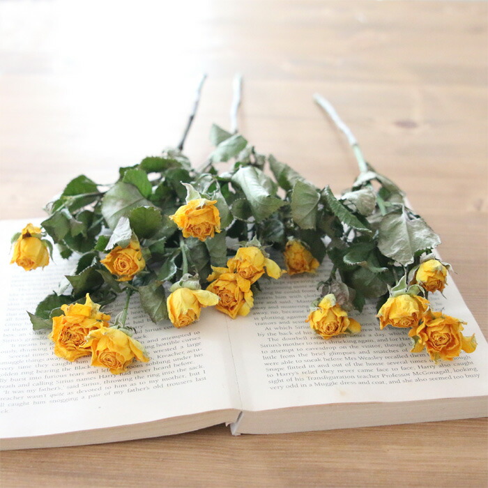 楽天市場】スプレーローズ イエロー系 【ドライフラワー 国産】 【AS-3