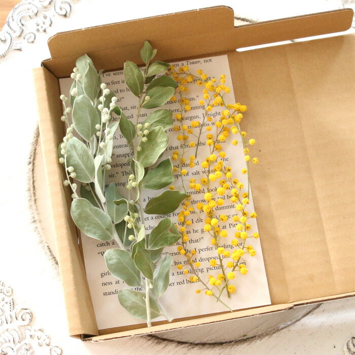 楽天市場】ミモザ ドライフラワー 穂先＆パールアカシア葉 花材セット