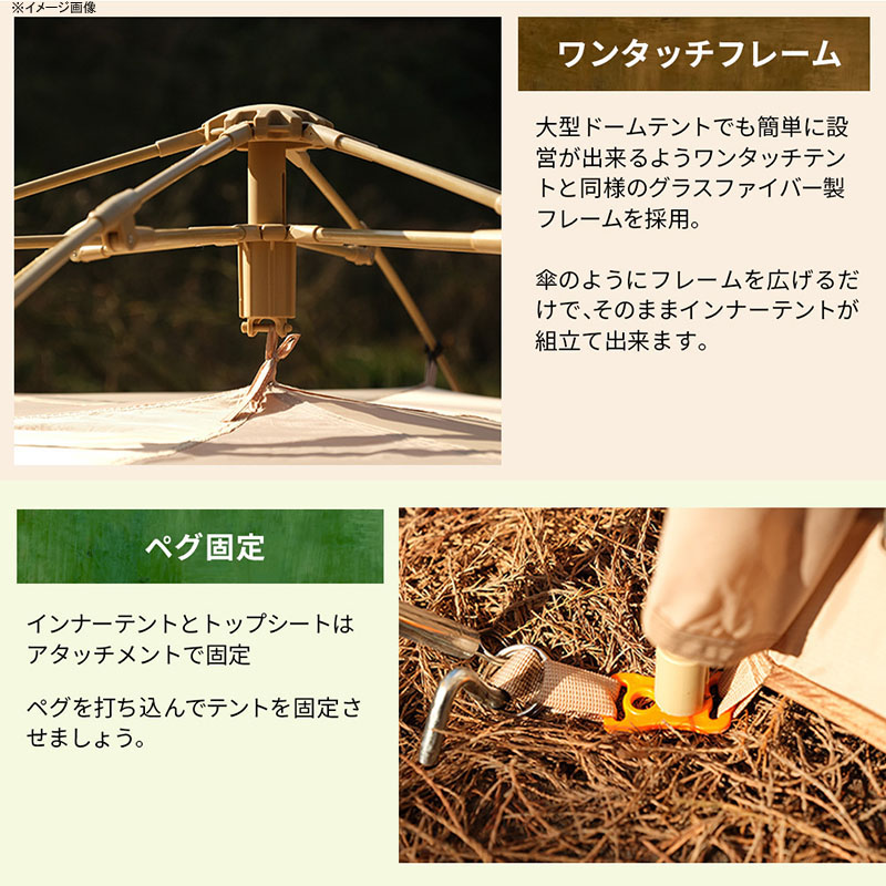 楽天市場】TAN XIAN ZHE(タンシャンゼ) フロッグテント ライトグリーン