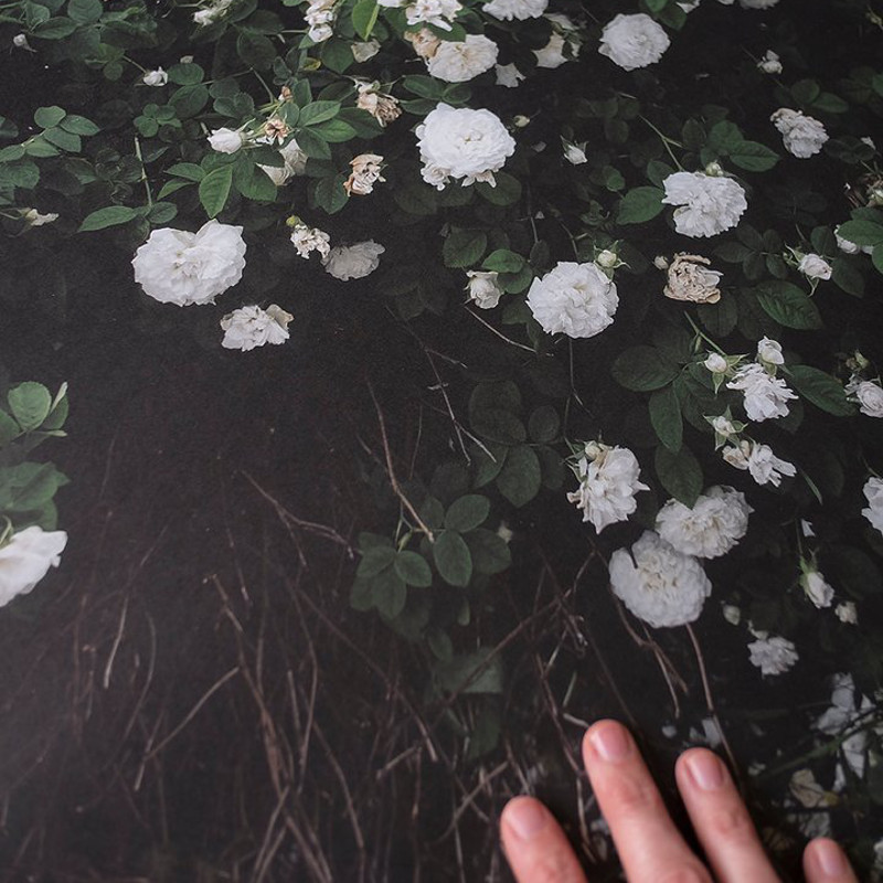 楽天市場】【サイズが増えました】スウェーデン Fine Little Day WHITE