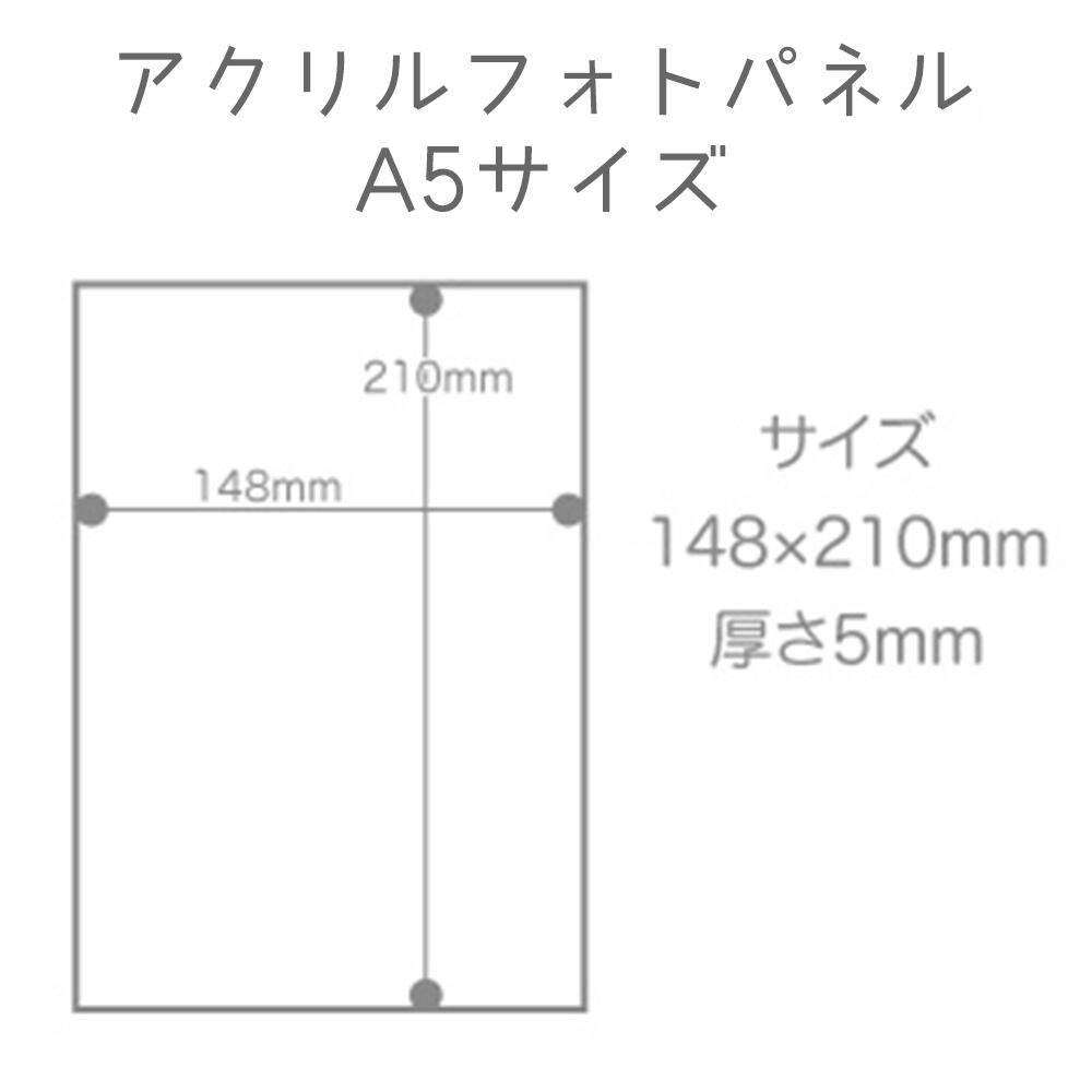 楽天市場】アクリル フォトパネル オリジナル 印刷 パック A5サイズ