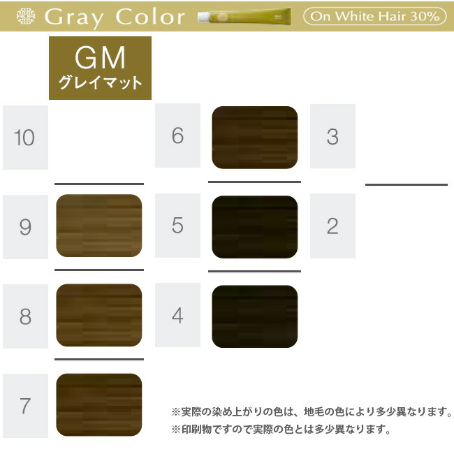 楽天市場】ホーユー プロステップ グレイカラー 第1剤 GM グレイマット