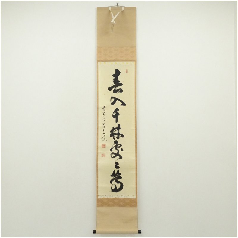 楽天市場】足立泰道の通販