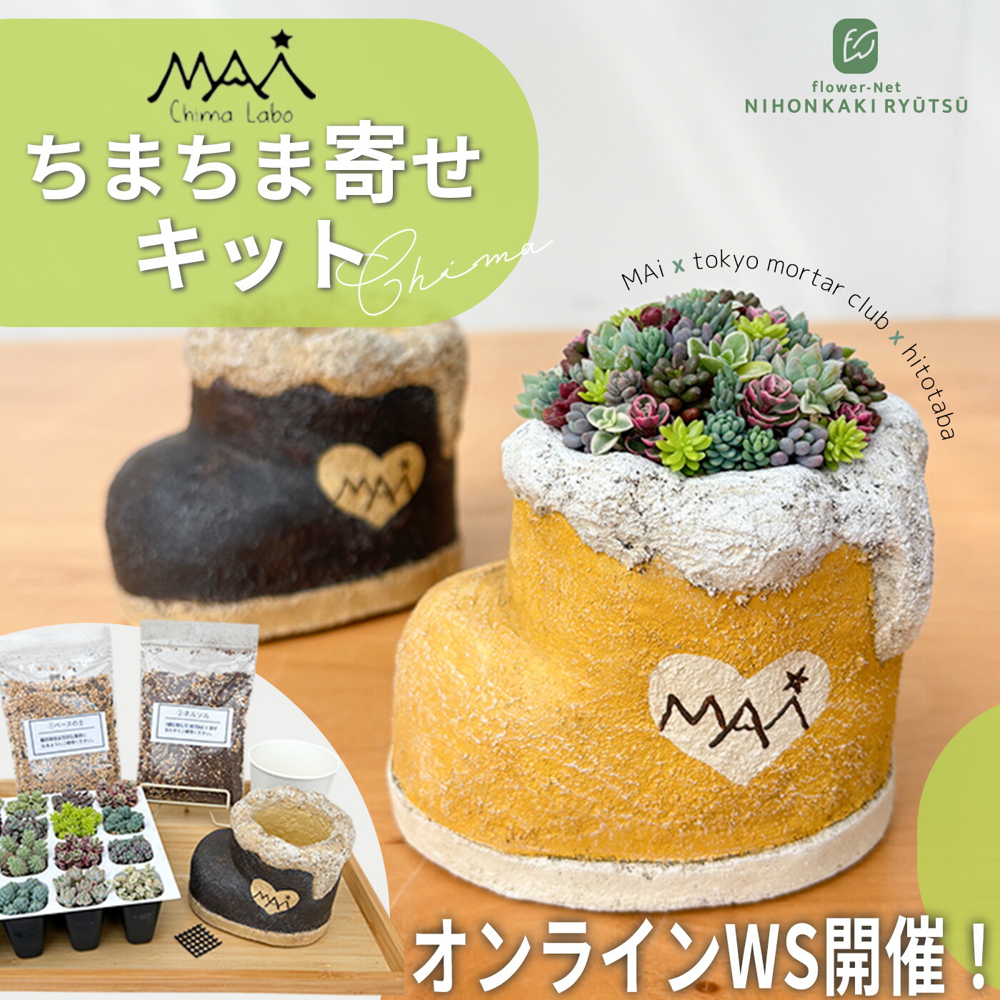 楽天市場】【MAiさん監修】 寄せ植え セット 多肉植物 ちまちま寄せ